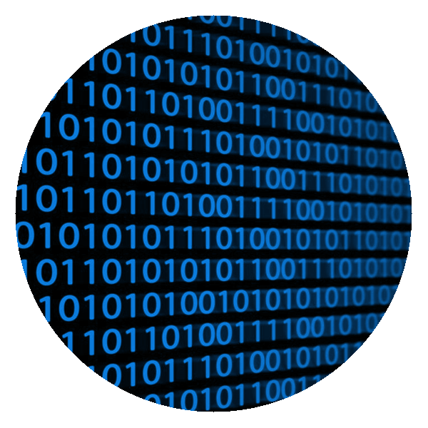 What to do in case of data deletion What to do in case of data deletion