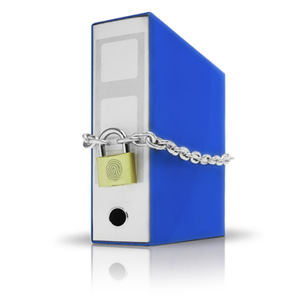 Collection Services Locked Data img_600x600_collectionserviceslockdata